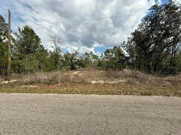 19 Fisher Lane Trak, Ocklawaha, FL 32179