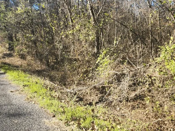 Southfork Rd, Mount Ida, AR 71957