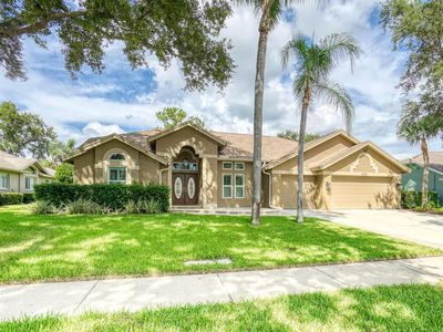 4323 Clairidge Way, Palm Harbor, FL, 34685