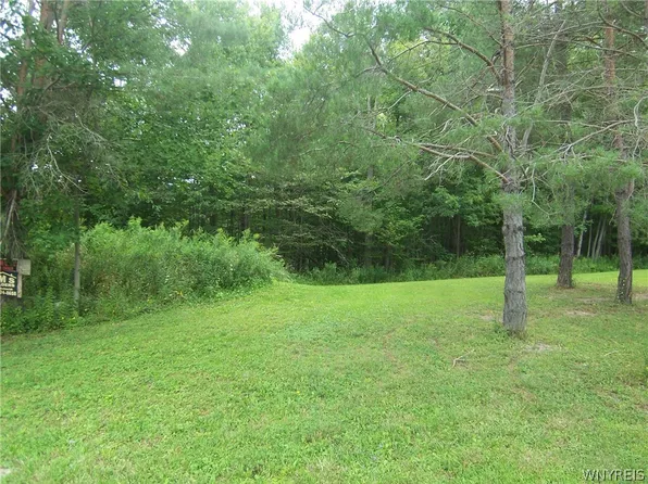 0 Colony Run #48, Alexander, NY 14005