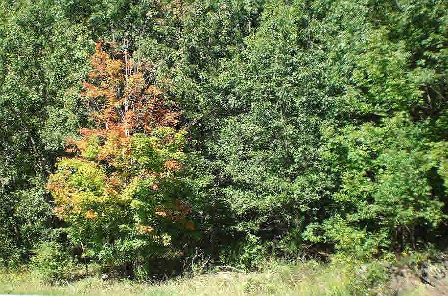 1st image of 2 Scott Ln