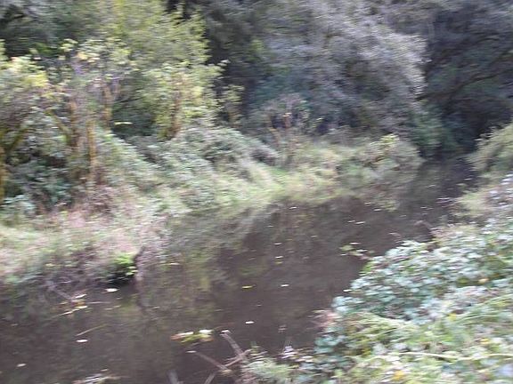 creek