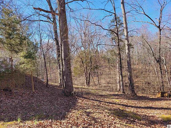 5th image of 233 Calloway Ln