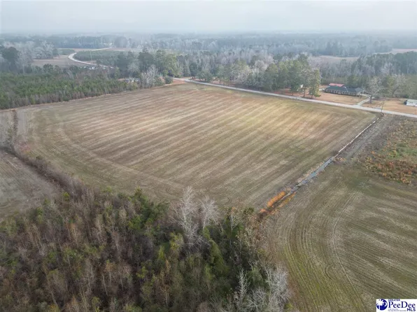 Tbd Lynhurst, Pamplico, SC 29583