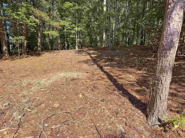 160 John A Trl, Mountain View, AR 72560