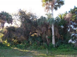 811 Locust St, New Smyrna Beach, FL 32169