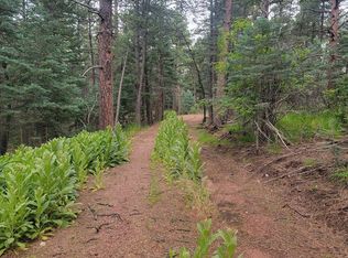 Tbd Robin Hood Trl, Rye, CO 81069