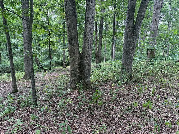 4th image of 17300 Little Spring Rd
