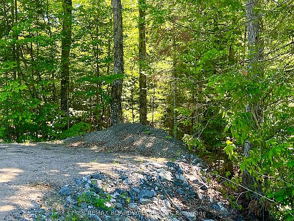 2nd image of 0 Buckshot Lake Rd