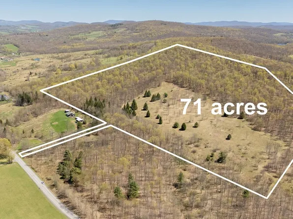 LOT 19.1 Turnpike Rd, East Pharsalia, NY 13758