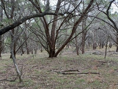 32ND 32ND ST LOT 1-10, Pipe Creek, TX, 78063