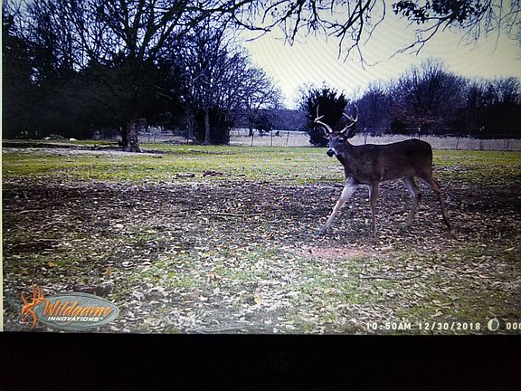 5th image of 3216 Private Road 2417