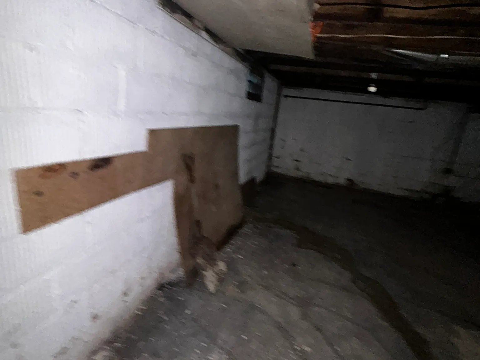 2 bed, 1008 sqft, $850 — Photo 2