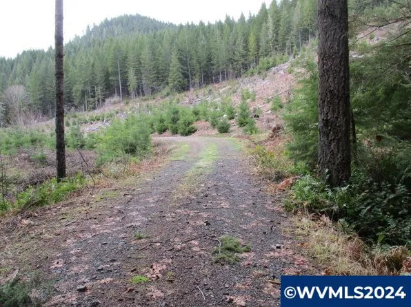 0 Quartzville Dr, Sweet Home, OR 97386