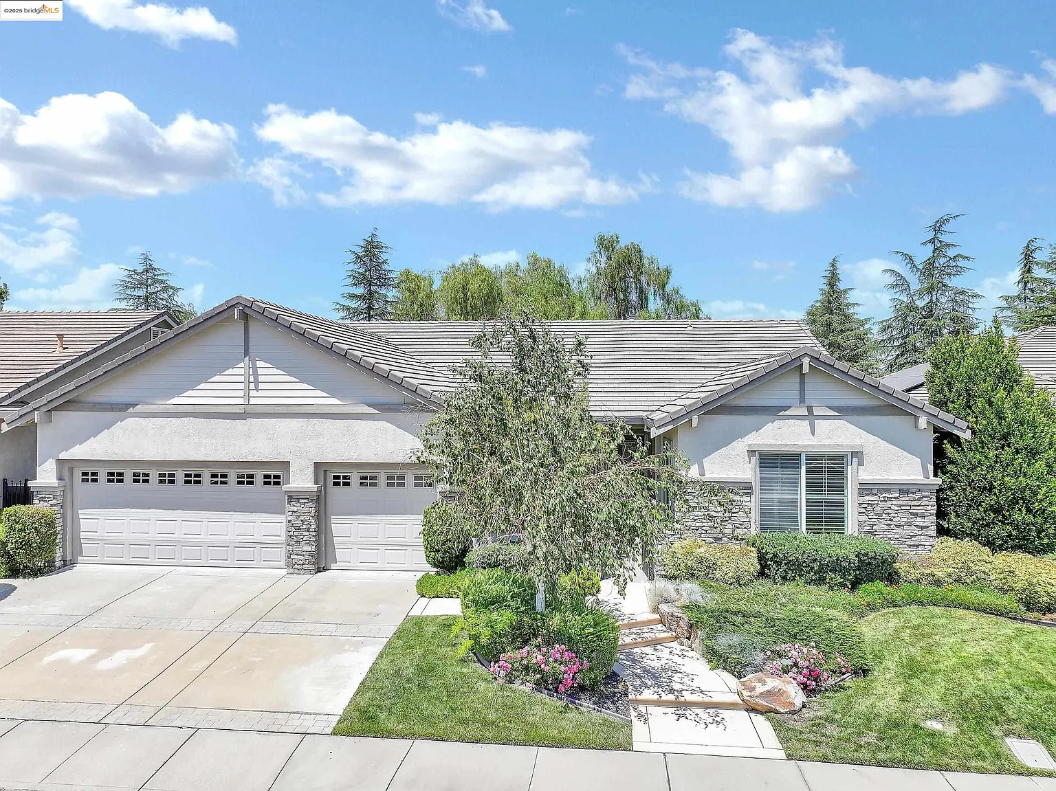 1133 Jonagold Way photo 1