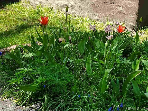 4th image of 303 W South Ave