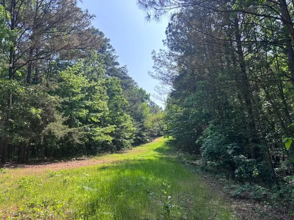 1900 County Road 30, Winfield, AL 35594