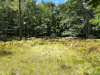 5 Mile Rd, Hesperia, MI, 49421