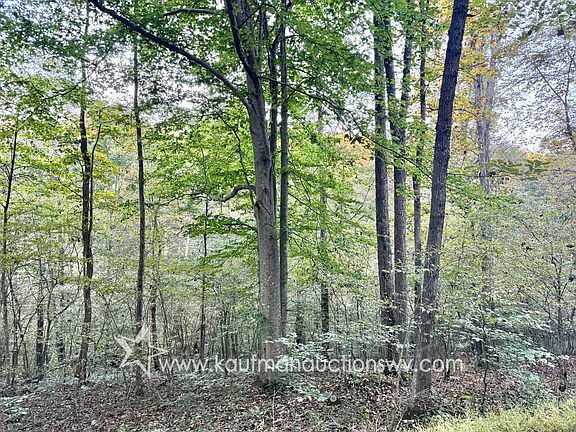 3rd image of Tate Creek Rd