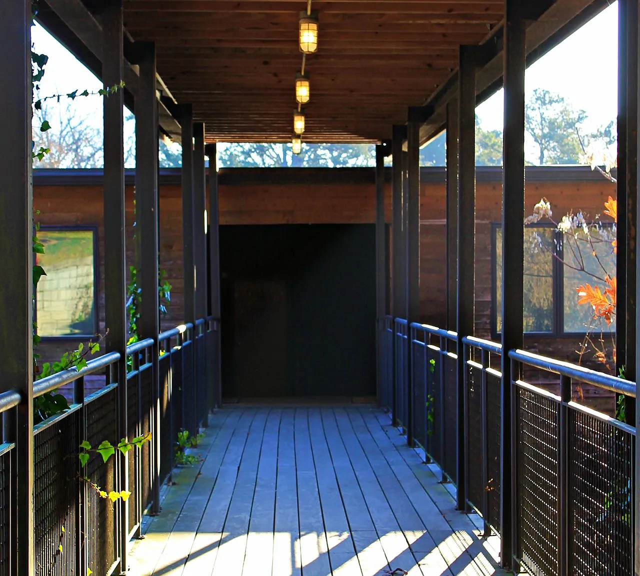 The Treehouse on JPA — Photo 2