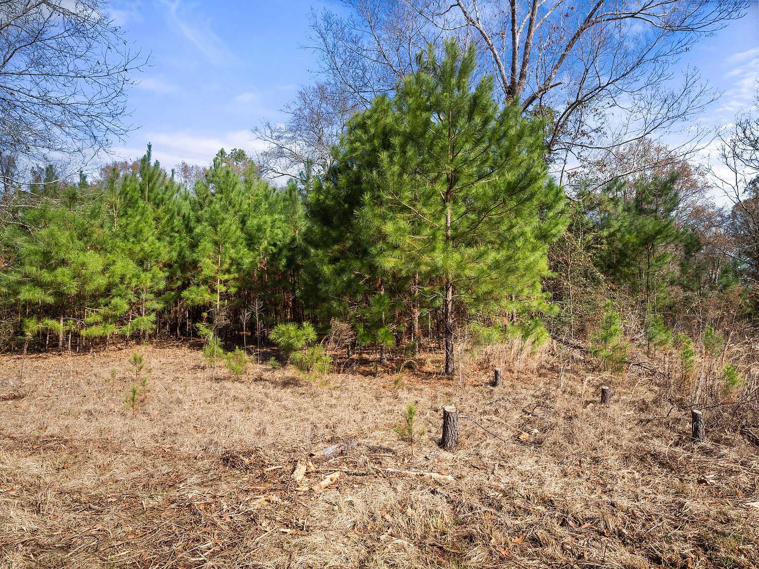 Colony Loop LOT 34, Anacoco, LA 71403 Zillow