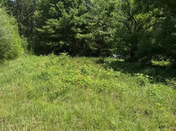 0 Davis Dr, Georgetown, GA 39854