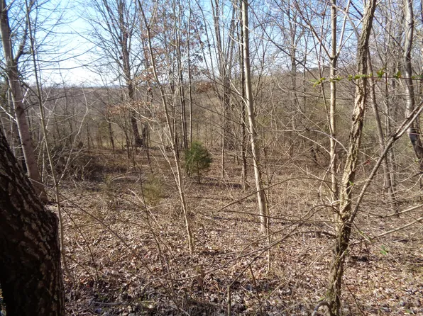 0 Holston River Dr, Rutledge, TN 37861