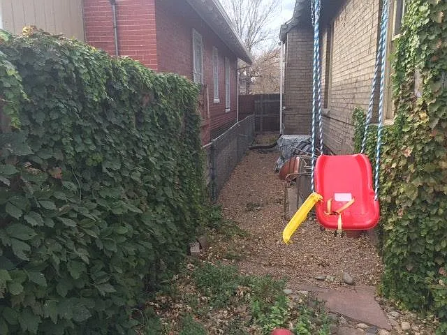 dog run