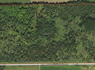 Nappers Road 80 Acres, Herron, MI 49744