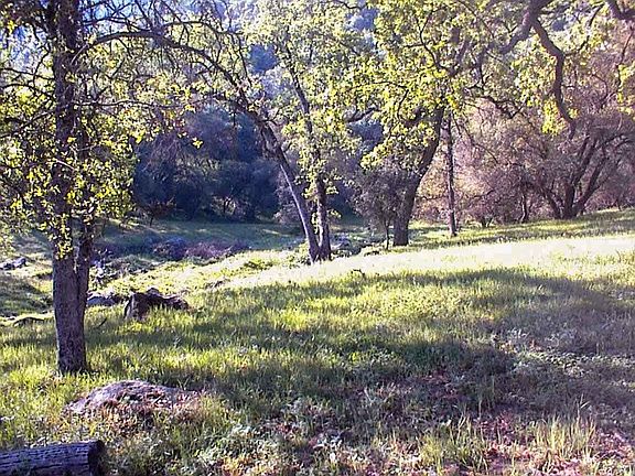 4th image of 140 Ruth Hill Rd