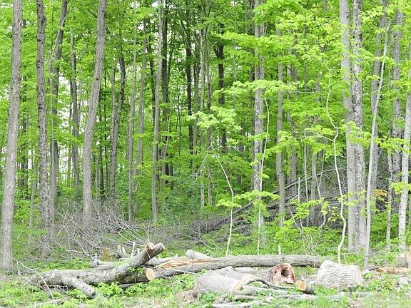 3rd image of 0 Township Road 173