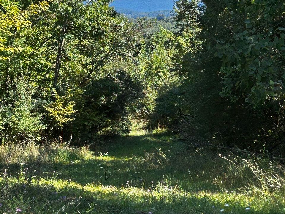 1st image of PARCEL 28 Route 187