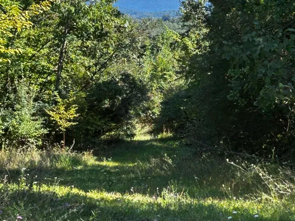 PARCEL 28 Route 187, Sugar Run, PA 18846