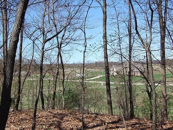 In wooded area looking north