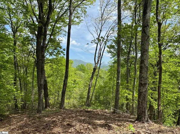 100 Wood Violet Trl, Marietta, SC 29661