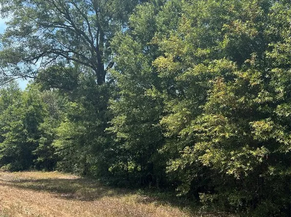 Fm 3042, Pittsburg, TX 75686