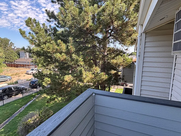 View from deck