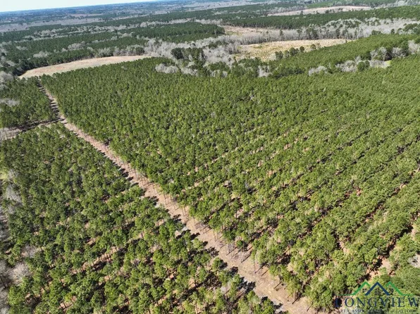 County Road 1456, Linden, TX 75563