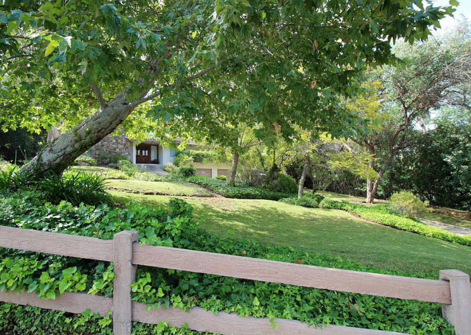 1st image of 31606 Saddletree Dr