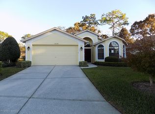 1020 Indigo Run Ct, Spring Hill, FL 34609