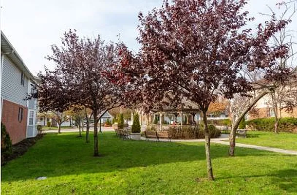 Rented by Century 21 American Homes | media 33