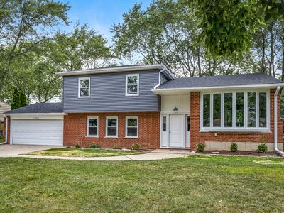 1356 E Rosita Dr, Palatine, IL, 60074