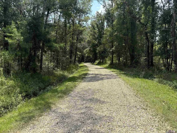 372 Westmoreland Ln, Amite, LA 70422