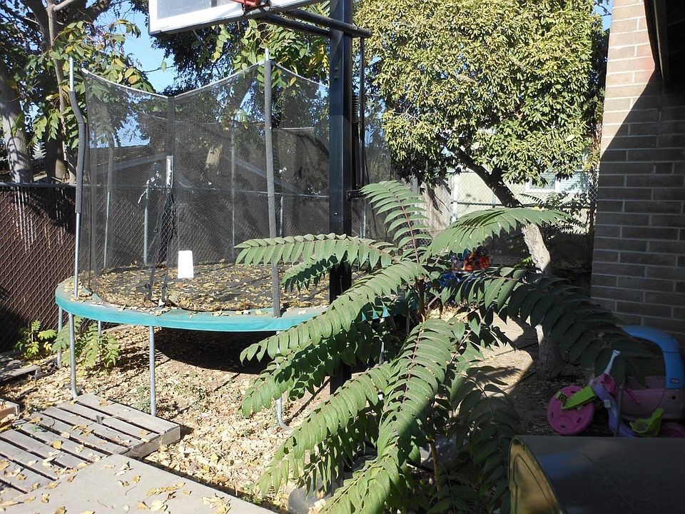 2nd image of 428 N 6th Ave