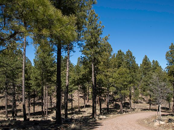 5th image of 7770 Forest Service 122 Rd. Tract 6 -- #6A