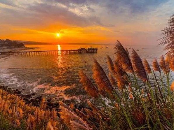 1505 42nd Ave APT 7, Capitola, CA 95010