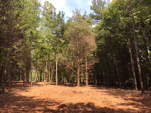 4th image of 000 Bigham Road