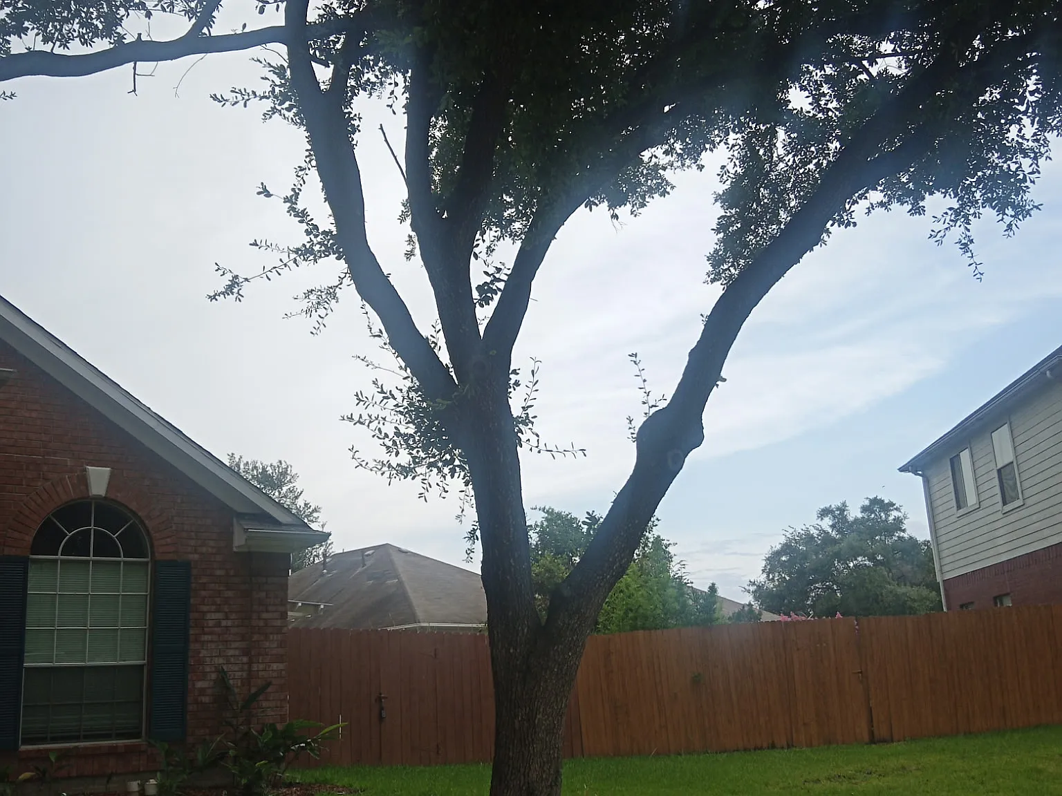 3 bed, 2.5 bath, 1475 sqft, $1,950 — Photo 4