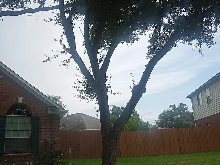 15911 Timber Chase Dr #1 — Photo 5