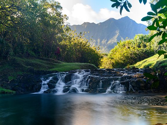 5th image of 2818 Kamookoa Rd #1